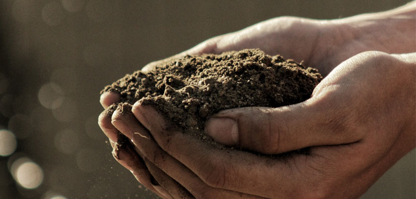 G8全自動石墨消解儀對土壤中Cd、Cr、Cu、Pb、Ni、Zn金屬消解方案