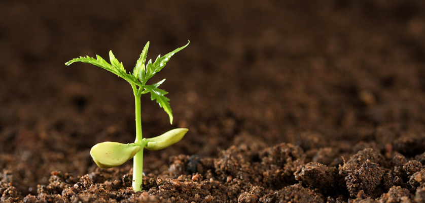 G8全自動石墨消解儀對土壤中汞、砷測定的消解案例